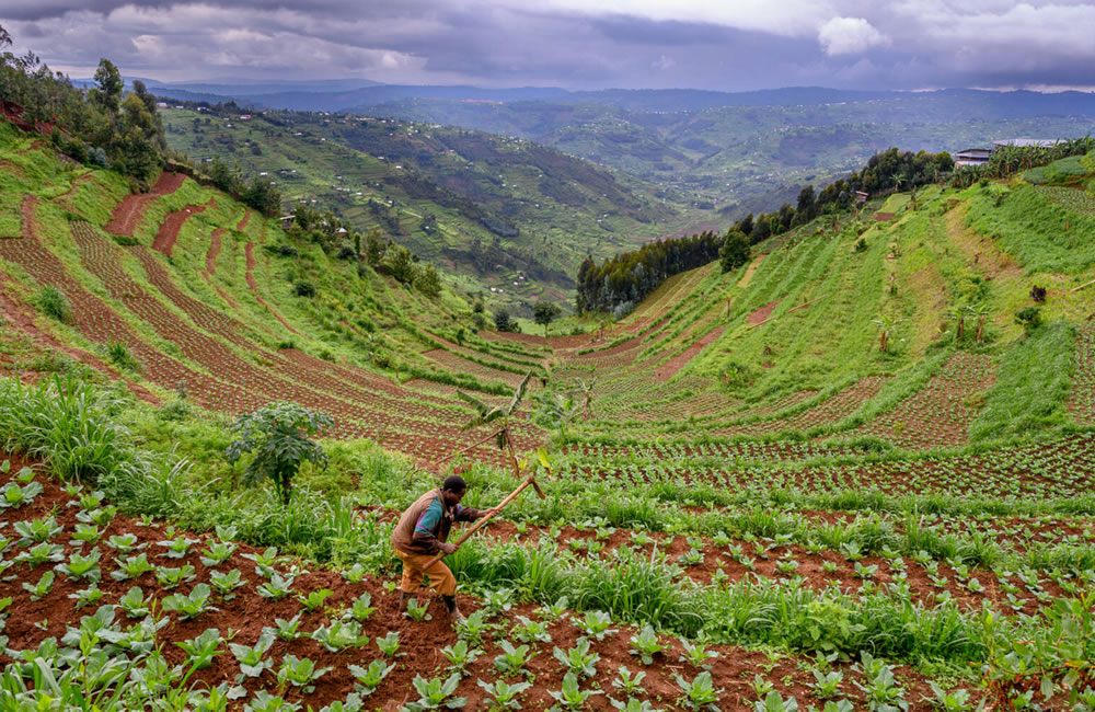 Rwanda the land of a thousand hills