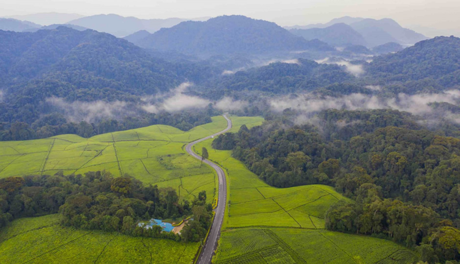 Nyungwe